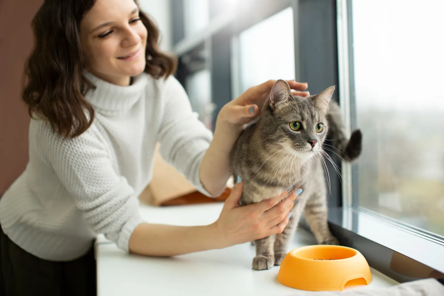 Better to keep your PET away from the kitchen to prevent hair contamination in your food