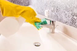hands cleaning bathroom