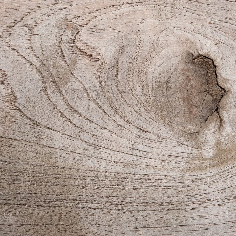 Oak tree wood