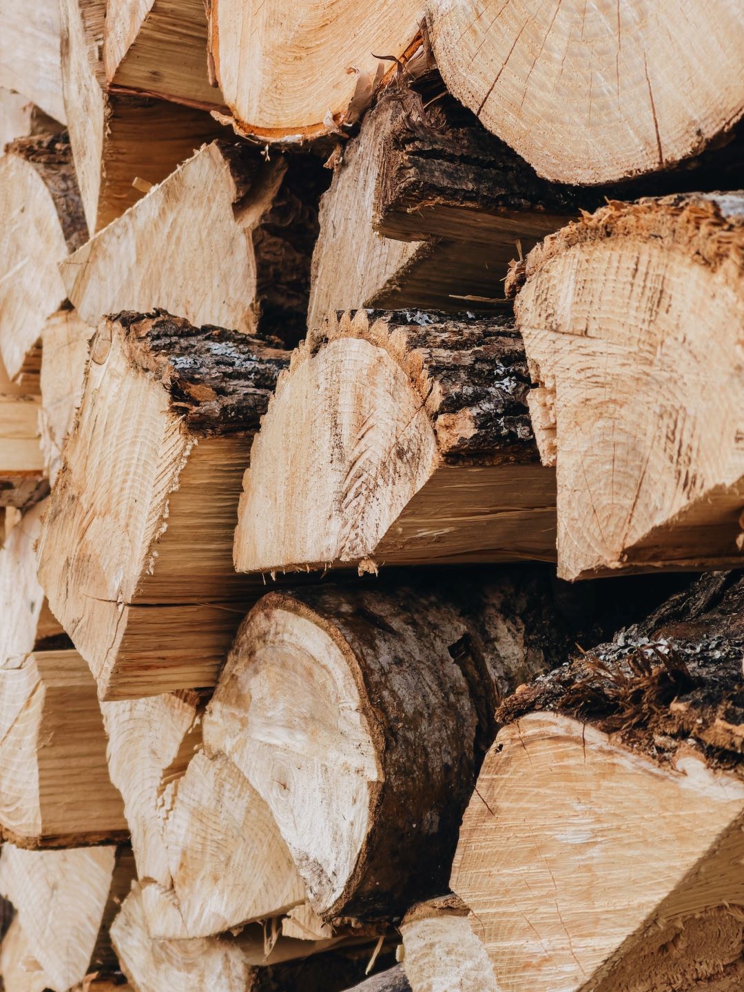 Pine wood logs