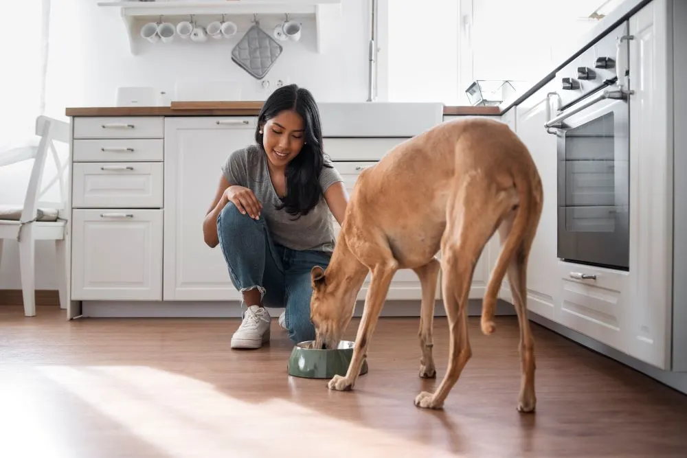 If you can be both adaptable and proactive in your planning, you can make sure that your kitchen can still accommodate your pets for years to come.